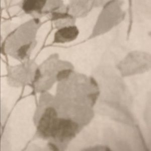 Meet your Posher, Meegan